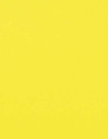 Stahls CAD-CUT® Flock Neon Yellow 101 Meter (SA350)