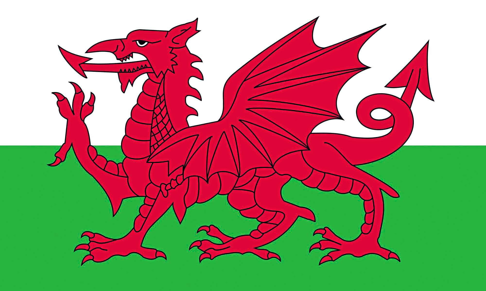 Printwear Fahne Wales Wales 90 x 150 cm (FLAGWLS)