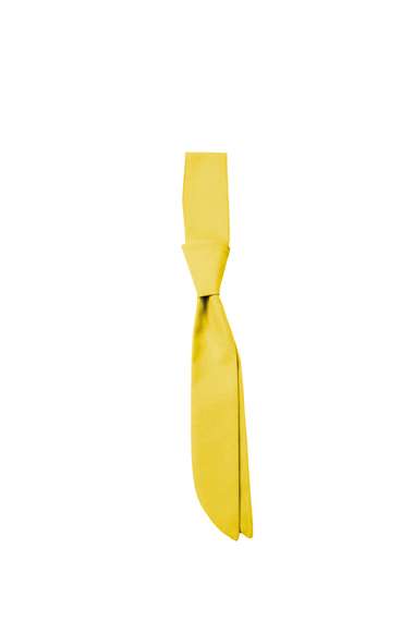 CG Workwear Short Tie Siena Black One Size (CGW150)