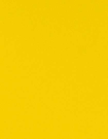 Stahls CAD-CUT® Flock Lemon 100 (ca. Pantone Yellow 012C) Meter (SA350)